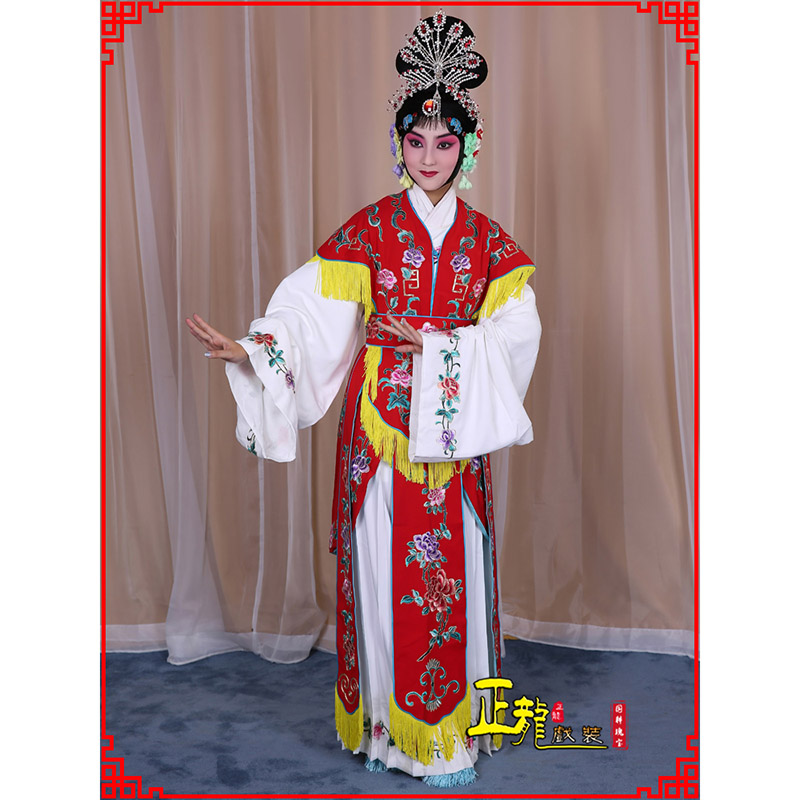 蓬安戏曲服装舞台演出红娘装